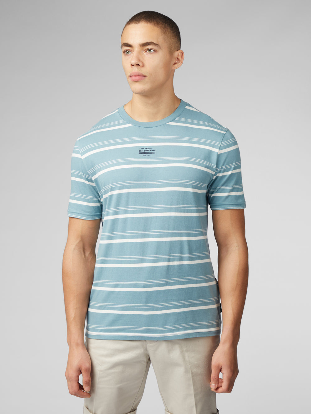 Blue Ben Sherman Fine Stripe T-Shirt | 7435-VJHEX